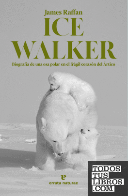 Ice Walker