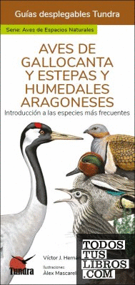 AVES DE GALLOCANTA Y ESTEPAS Y HUMEDALES ARAGONESES - GUIAS DESPLEGABLES TUNDRA