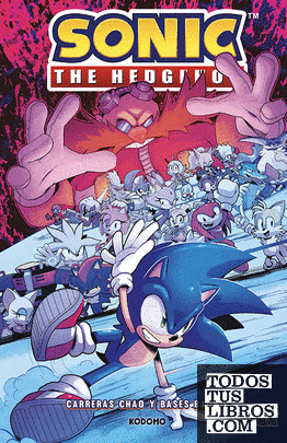 Sonic The Hedgehog: Carreras chao y bases badnik