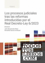 Los procesos judiciales tras las reformas introducidas por el Real Decreto-Ley 6/2023