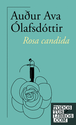 Rosa candida (60.º aniversario de Alfaguara)