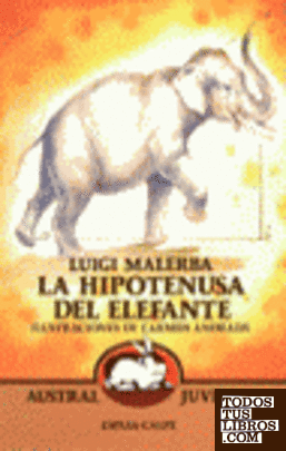 La hipotenusa del elefante y otros cuentos