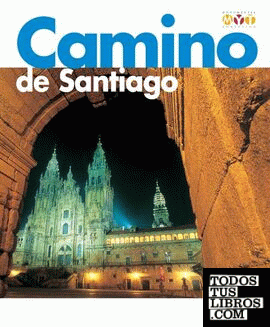 Camino de Santiago Monumental y Turística
