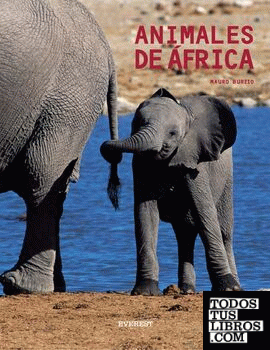 Animales de África