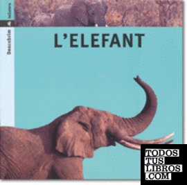 L'elefant