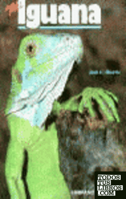 Mi iguana