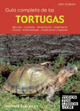 Guía completa de las tortugas