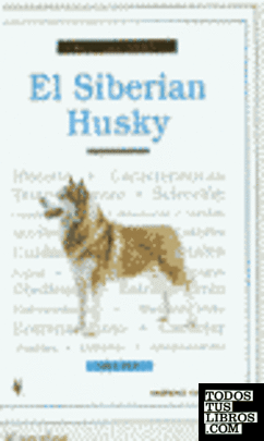 El siberian husky