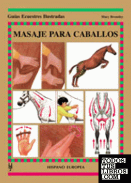 Masaje para caballos