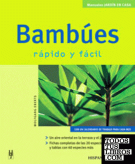 Bambúes (Jardín en casa)