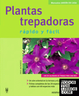 Plantas trepadoras (Jardín en casa)