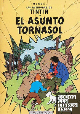 El asunto Tornasol (cartoné)