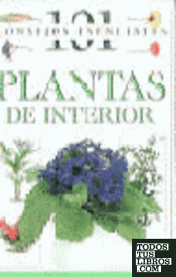 Plantas de interior