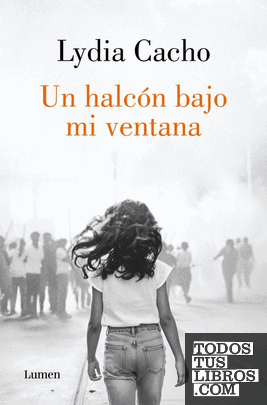 Un halcón bajo mi ventana
