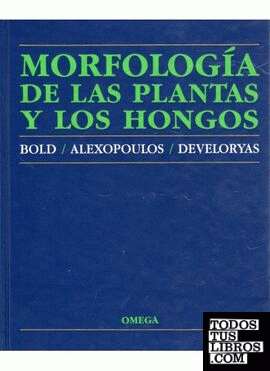 MORFOLOGIA DE LAS PLANTAS Y HONGOS