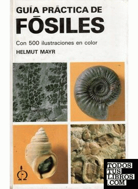Libro G. Bolsillo Rocas,Minerales y Piedras Prec. (Guias del  Naturalista-Rocas-Minerales-Piedras Preciosas De Sue Rigby - Buscalibre