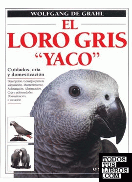 EL LORO GRIS 'YACO'