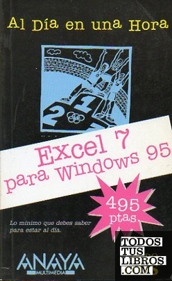 EXCEL WINDOWS 95