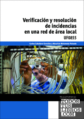 Verificación y resolución de incidencias en una red de área local
