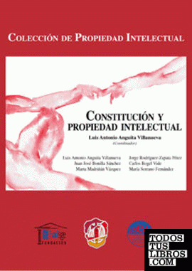 Constitución y propiedad intelectual