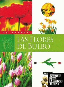 Flores de bulbo
