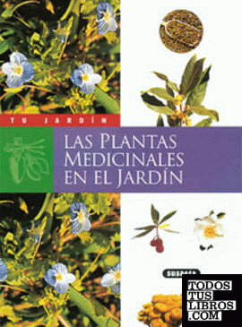Las plantas medicinales en el jardín