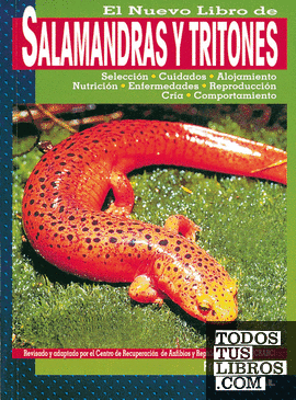 Salamandras y tritones