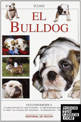 El bulldog