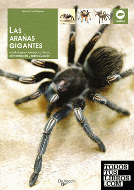 Las arañas gigantes