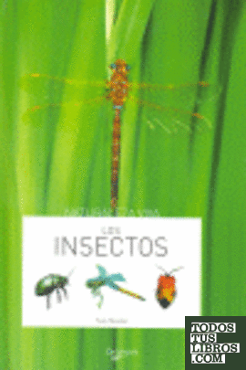 Los insectos
