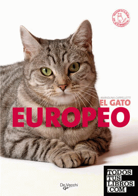 El gato europeo