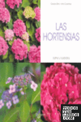 Las hortensias