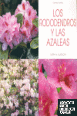 Los rododendros y las azaleas