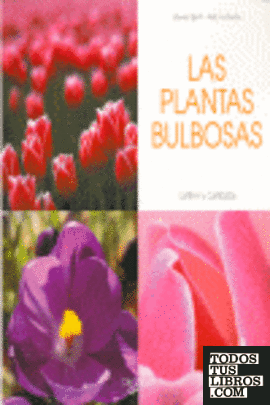 Las plantas bulbosas