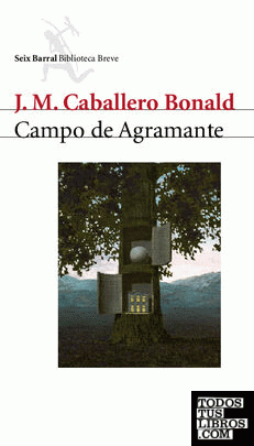 Campo de Agramante