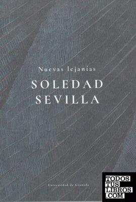 Nuevas Lejanías: Soledad Sevilla