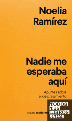 Nadie me esperaba aquí