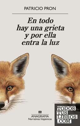 En todo hay una grieta y por ella entra la luz