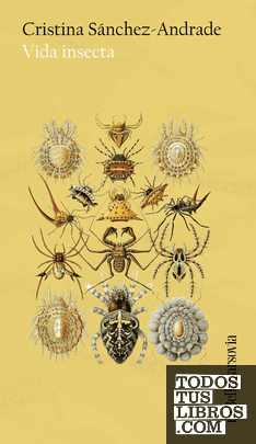 Vida insecta Vida insecta