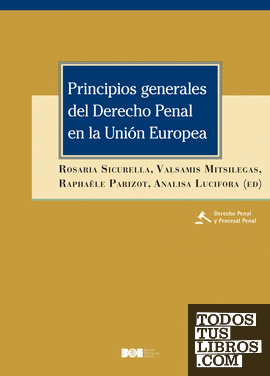 Principios generales del derecho penal en la Unión Europea