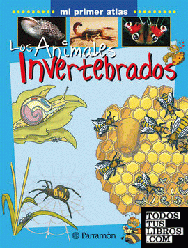 LOS ANIMALES INVERTEBRADOS