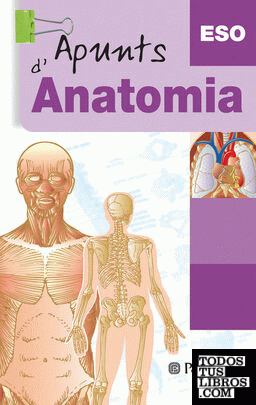 Apunts d'Anatomia