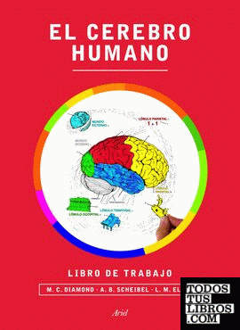 El cerebro humano. Libro de trabajo