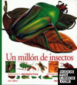 Un millón de insectos