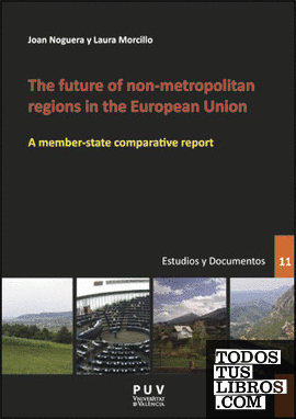 The future of non-metropolitan regions in the European Union