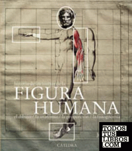 Historia de las teorías de la figura humana