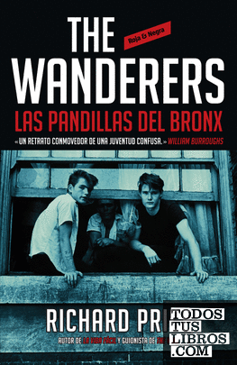 The Wanderers: las pandillas del Bronx