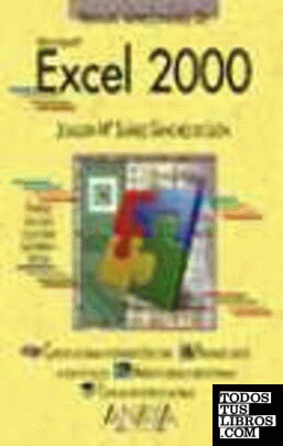 Excel 2000