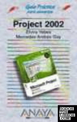 Project 2002