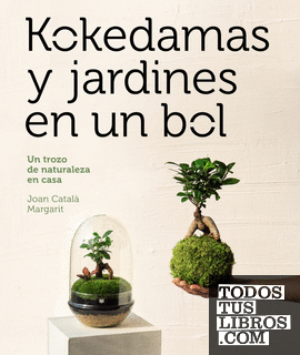 Kokedamas y jardines en un bol